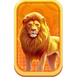 Lion
Safari